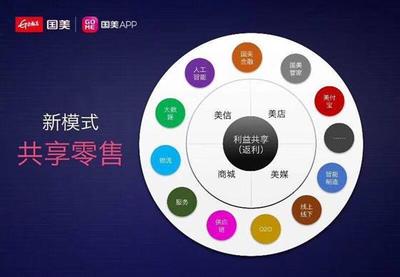 國美APP 想法雖好，市場機會已失